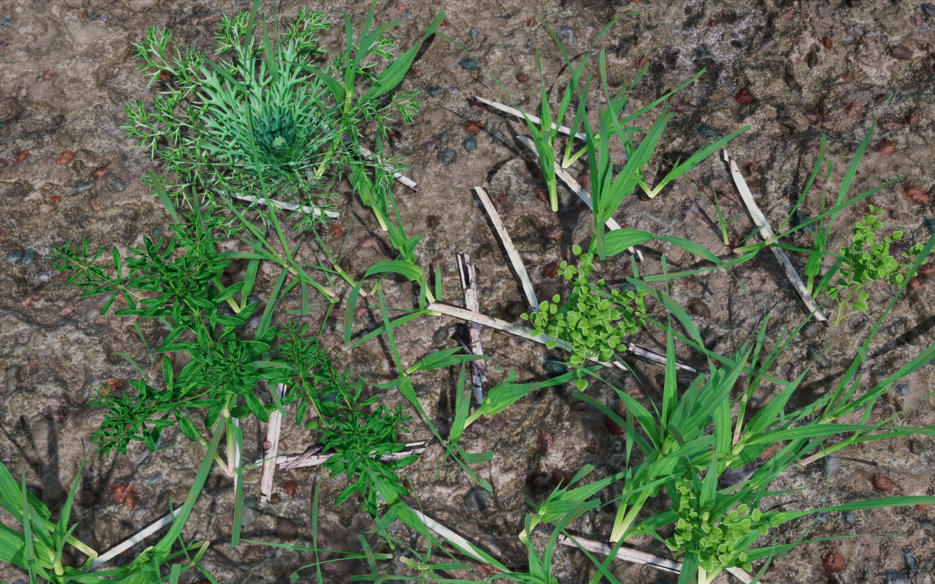 AgriSynth