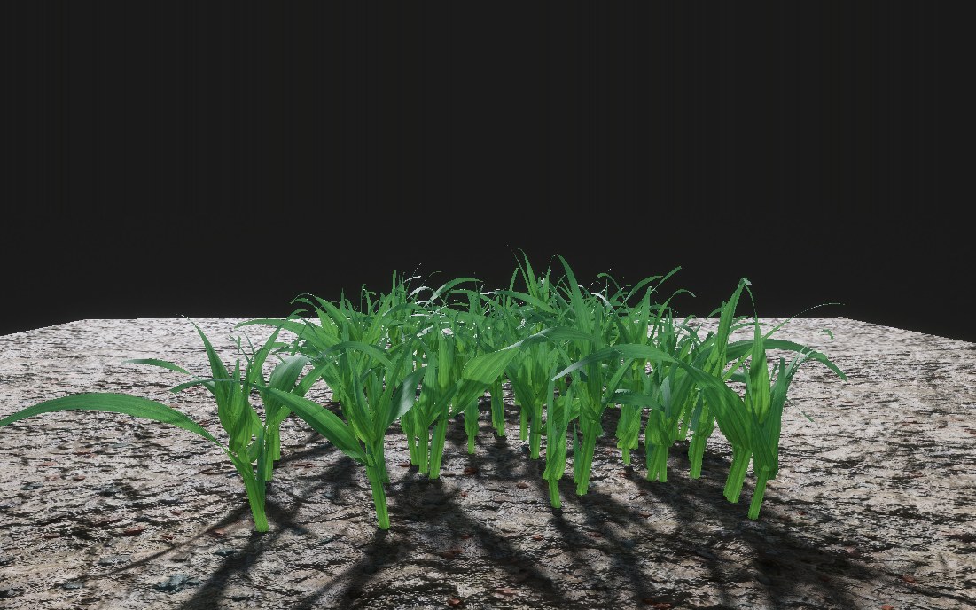 Monocot grasses at an early growth stage, generated from parameters rather than pre-built models