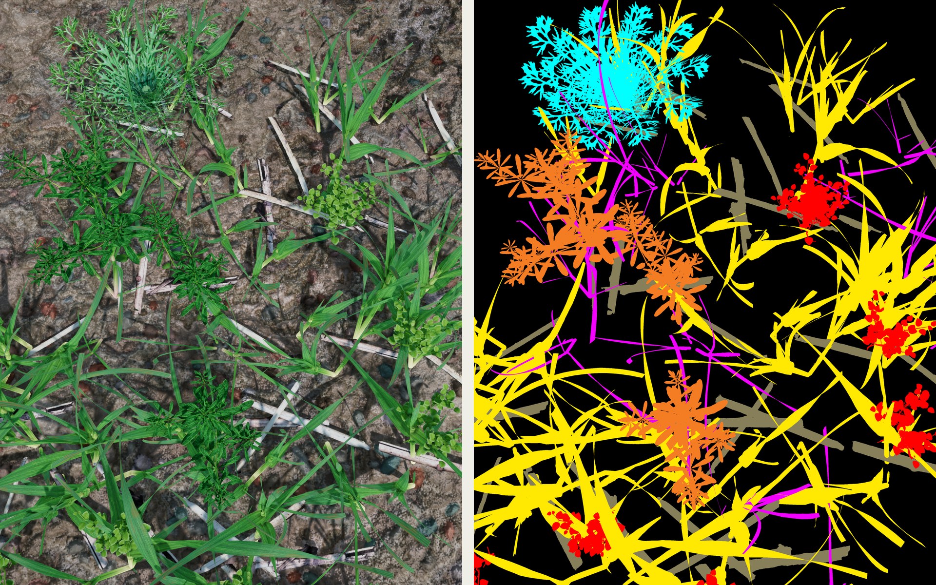 A rendered frame beside its segmentation mask, which comes with every frame