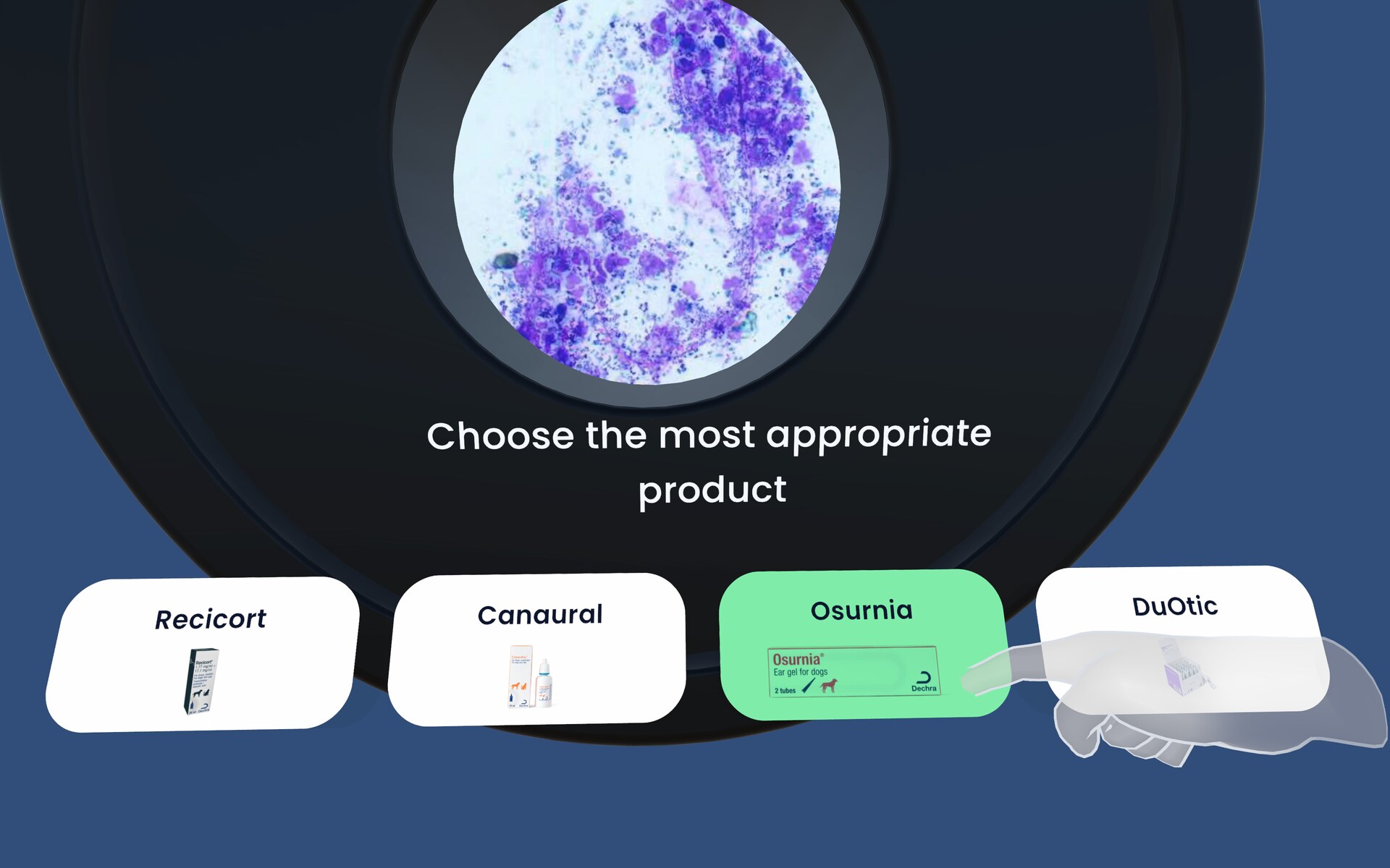 Under the microscope: identify the organism, then choose the Dechra product
