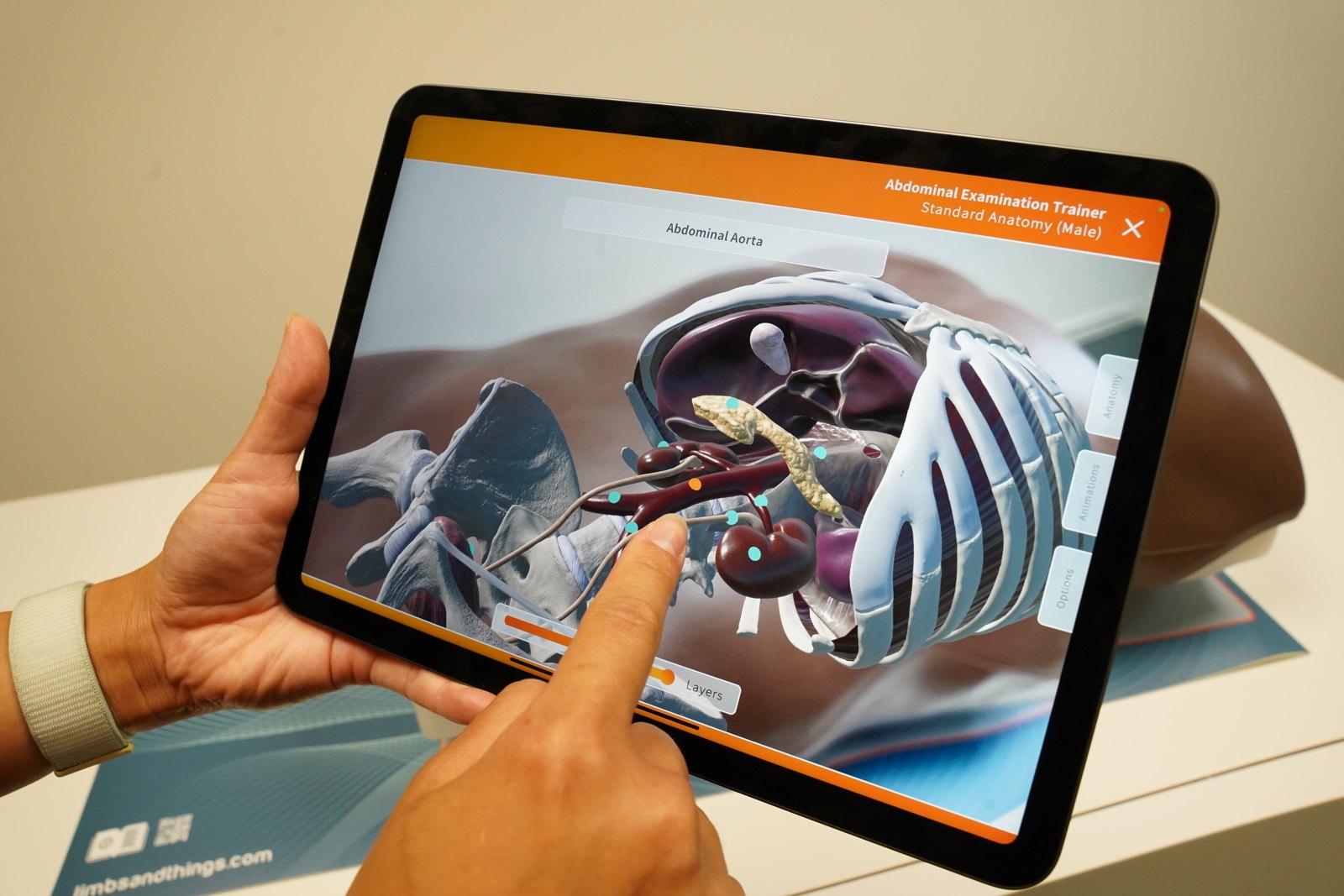 Organs, ribs and vessels shown beneath the Abdominal Examination Trainer in AR