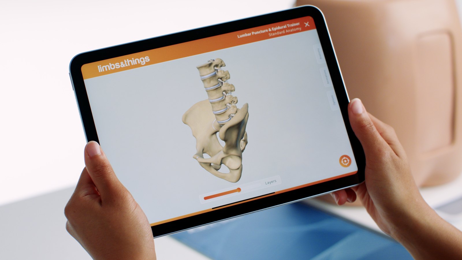 The 3D viewer: lumbar spine and pelvis for the Lumbar Puncture & Epidural Trainer