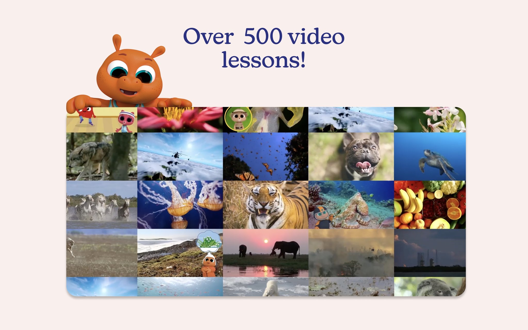 More than 500 video lessons about the real world